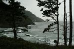 PICTURES/Oregon Coast Road - Heceta Lighthouse/t_Shoreline4.JPG